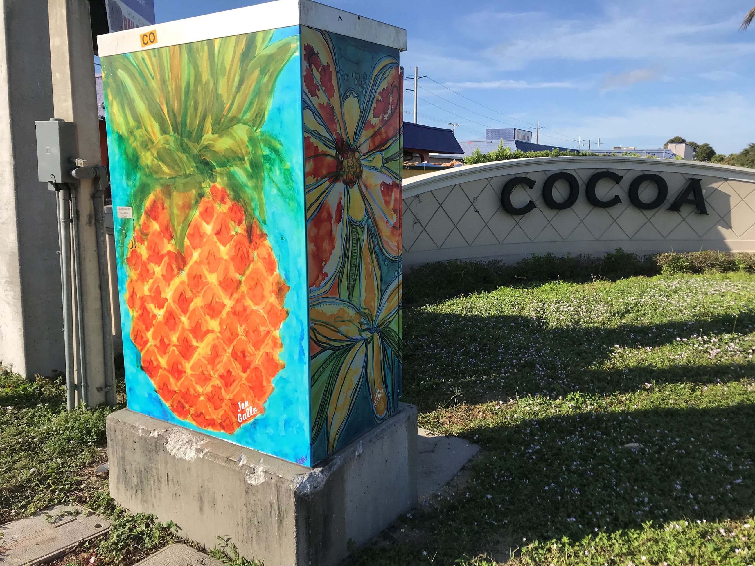 Photo of Pineapple Artwork on Traffic Box at SR520 and US1